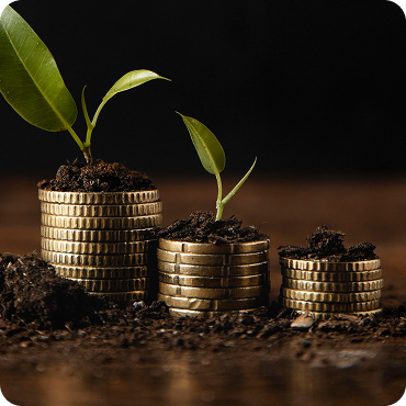 Plant growing from coins